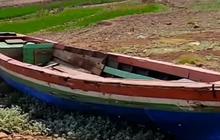 Waduk Jatigede yang Surut karena Kemarau Kini Tampak Menghijau, Intip Penampakannya