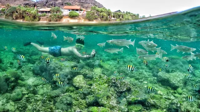 12 Wisata Alam Yogyakarta yang Terkenal Indah, dari Air Terjun hingga Pantai