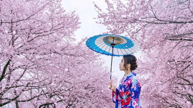 Mengenal Istilah Wibu dari Weeabo