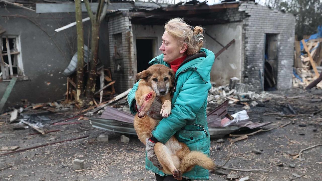 FOTO: Evakuasi Anjing Terluka Usai Serangan Rusia Hantam Penampungan Anjing Liar