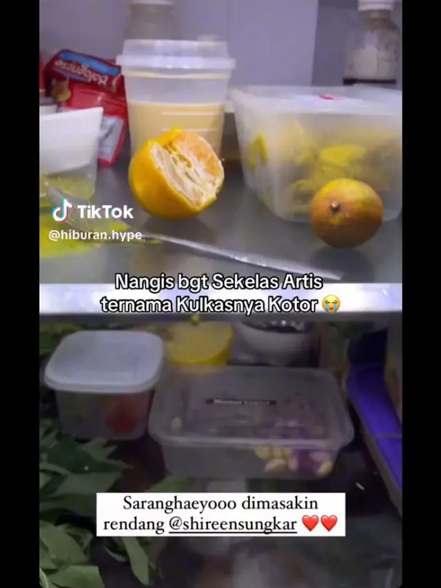 Potret Kulkas Tak Sebersih Layaknya Konten di Instagram