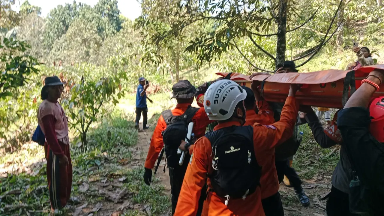 Proses evakuasi nenek asal Dusun Rambakulu Harapan, Desa Torpedo Jaya, Kecamatan Sabbang Selatan, Kabupaten Luwu Utara, yang sempat hilang. (Liputan6.com/Fauzan)