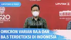 Sebanyak delapan orang terdeteksi tertular virus omicron varian BA.4 dan BA.5 di Indonesia. Dari delapan orang itu, satu bergejala sedang dan belum divaksin booster. Sementara tujuh lainnya sudah vaksin booster dan tak menunjukkan gejala.
