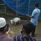 Warga Bangladesh berkerumun untuk melihat sapi kecil, Rani. (AFP: Munir Uz zaman).