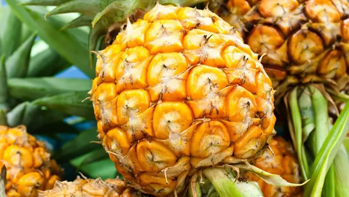 Foto : Copyright Thinkstockphotos.com