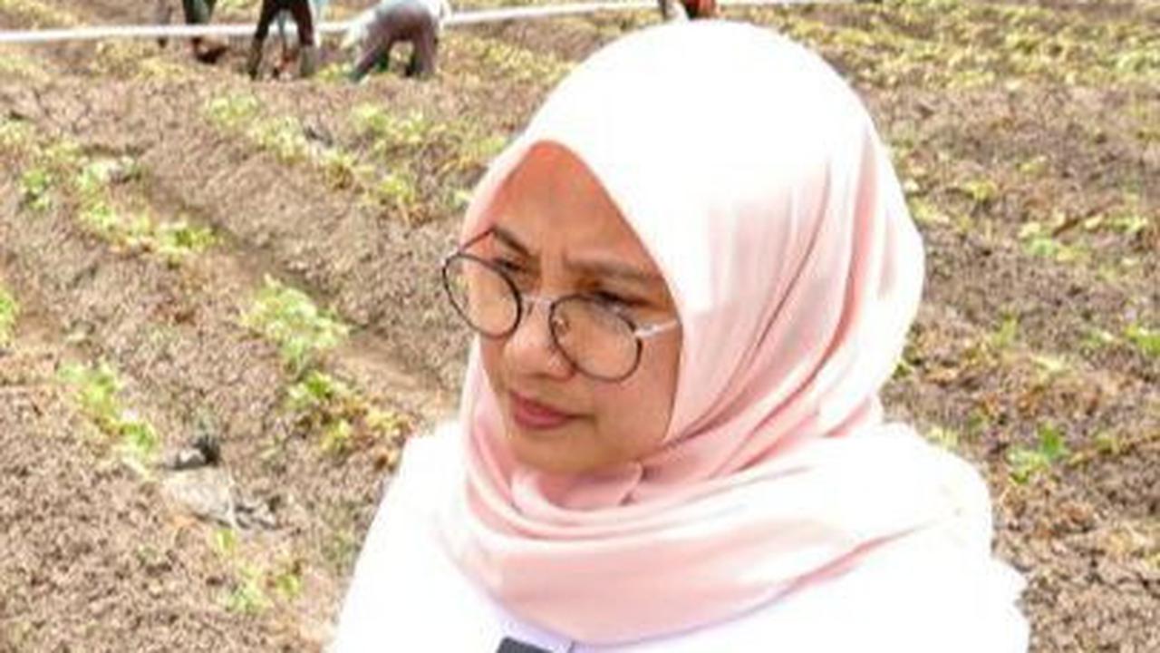 Pantau Lahan Pertanian, Bupati Ipuk Cek Ketersediaan Air