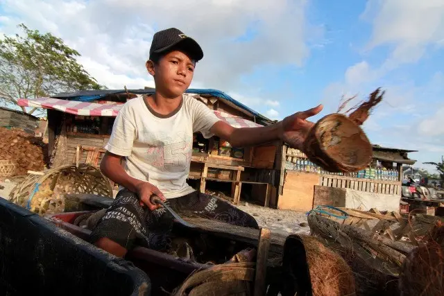 Pekerja Anak Indonesia