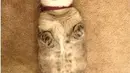 short desc
