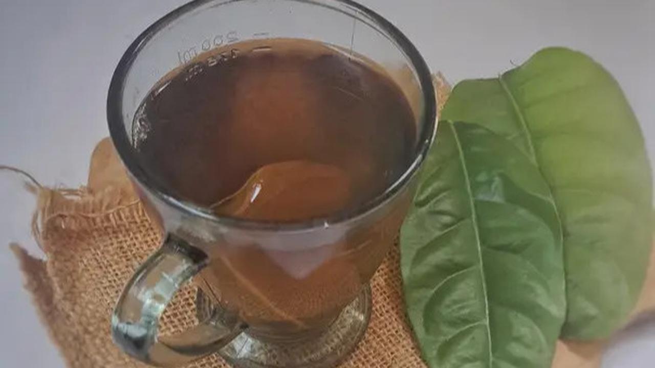 minuman daun salam