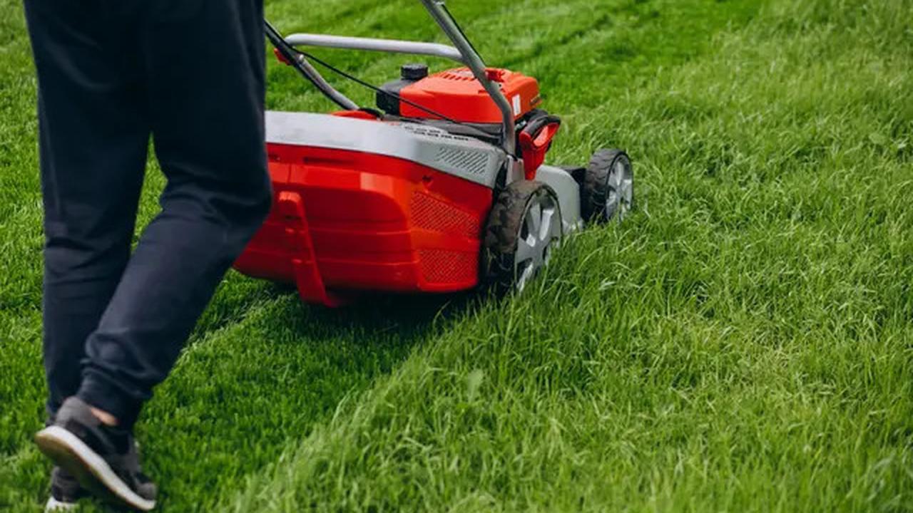8 Cara Cegah Ular Kobra Masuk ke Kebun Rumah Tanpa Racun, Aman dan Efektif