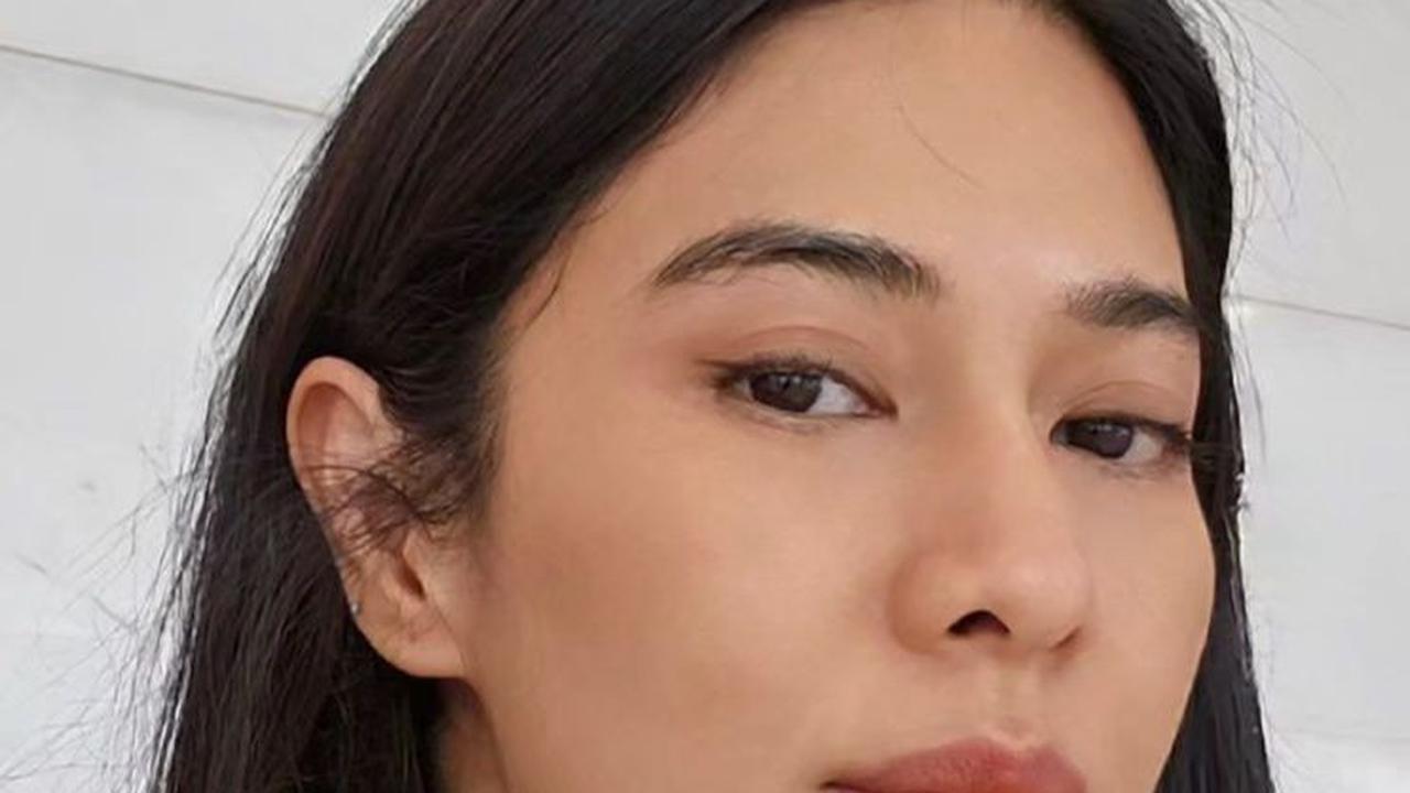 Ada Momen Dian Sastrowardoyo Berpikir Untuk Mengakhiri Hidupnya. Yuk, Temukan Fakta-Fakta Menarik Tentangnya!
