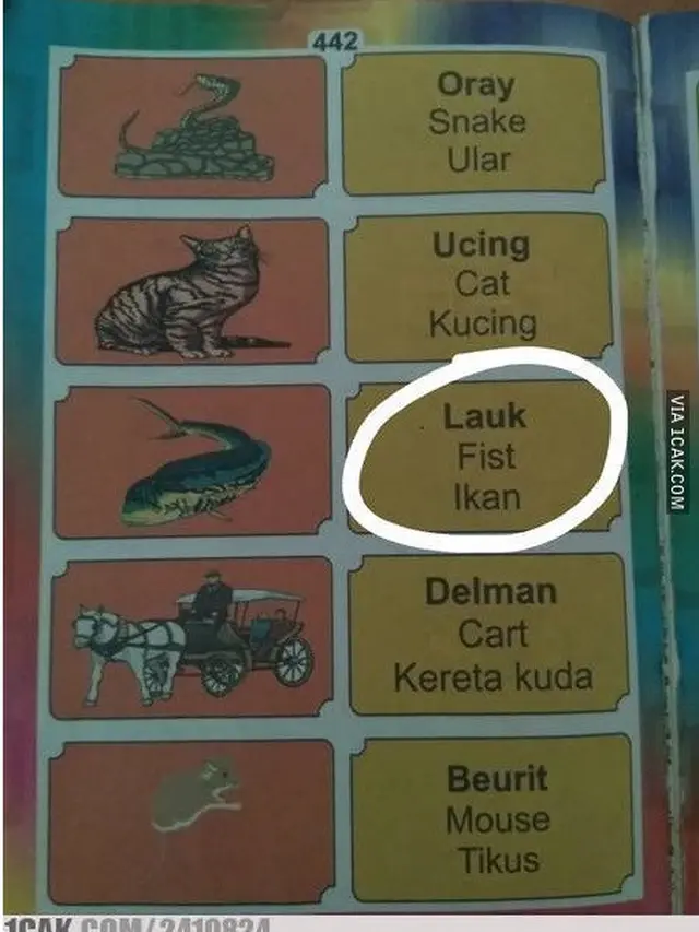 Kesalahan Tulisan Bahasa Inggris di Buku Anak-anak Ini Bikin Senyum-senyum