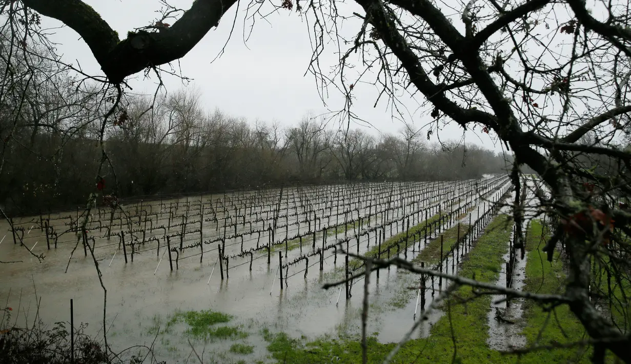 Kawasan Guerneville di California yang terkena hujan badai dan menyebabkan banjir, AS, Selasa (10/1). Banjir tersebut memicu dievakuasinya lebih dari 3.000 orang penduduk dalam semalam di wilayah Guerneville. (AP Photo / Eric Risberg)