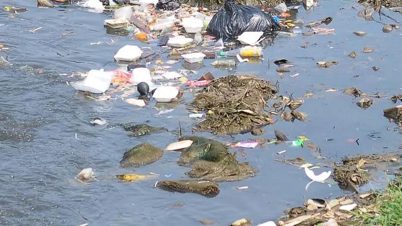 Sampah-sampah styrofoam juga terlihat pada aliran kali Ciliwung yang menyusut.