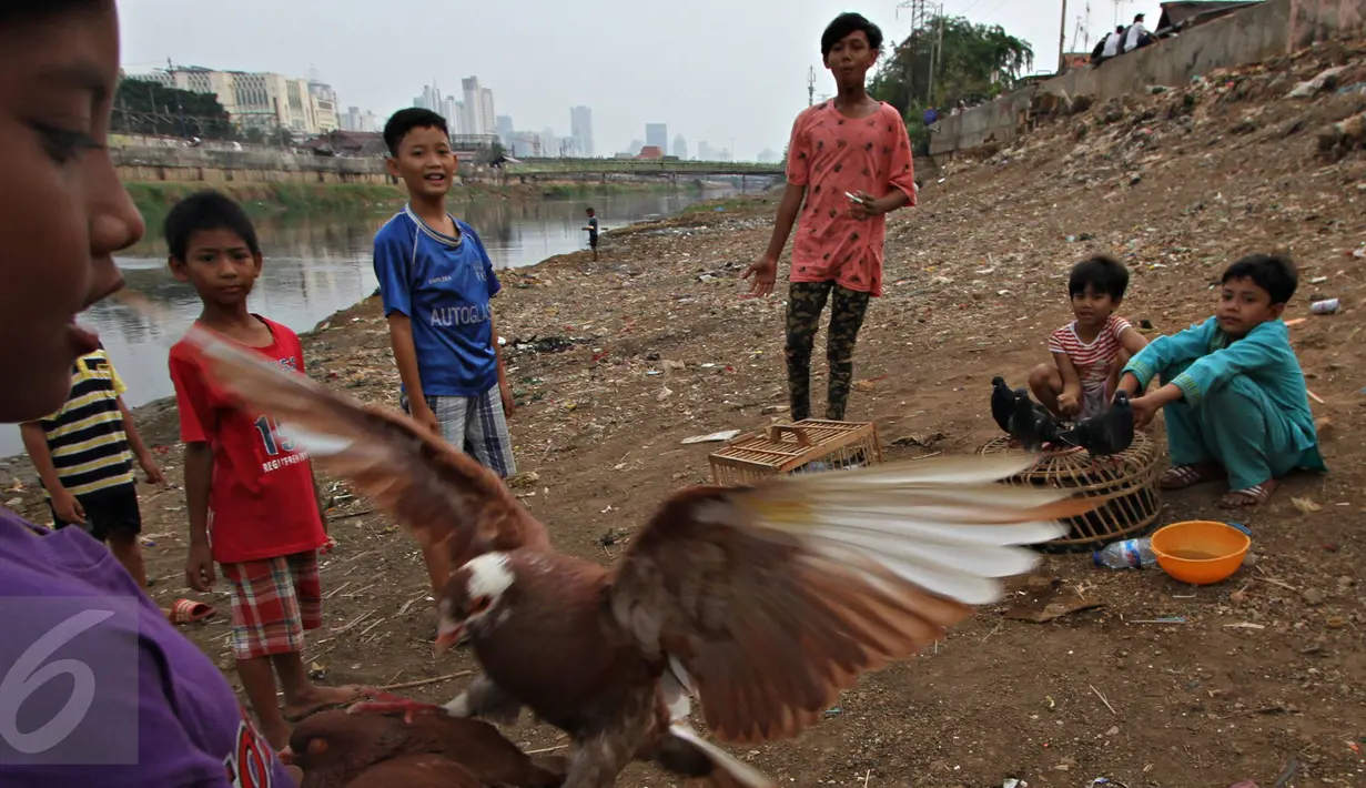 Sejumlah anak bermain burung merpati di bantaran Kanal Banjir Barat (KBB), Tanah Abang, Jakarta, Jumat (9/10). Terbatasnya ruang publik menyebabkan anak-anak tersebut terpaksa bermain di bantaran kanal. (Liputan6.com/Immanuel Antonius)