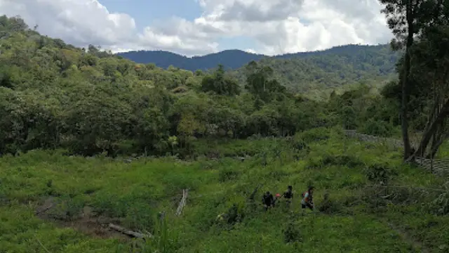 Kawasan Gunung Gerah di Perak, Malaysia. (Dok: keeminginsj.blogspot https://keeminginsj.blogspot.com/2019/05/gunung-gereh-bliah-bieh.html)