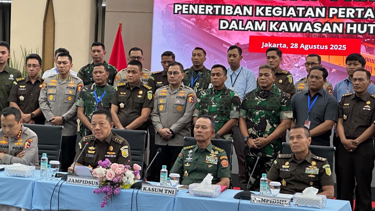 Pemerintah Sita 3,3 Juta Hektare Lahan Sawit Ilegal