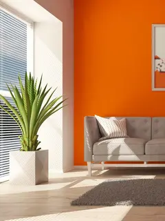 Rumah yang indah dan menenangkan selalu berawal dari hal sederhana—warna. (foto/dok: freepik/kjpargeter)