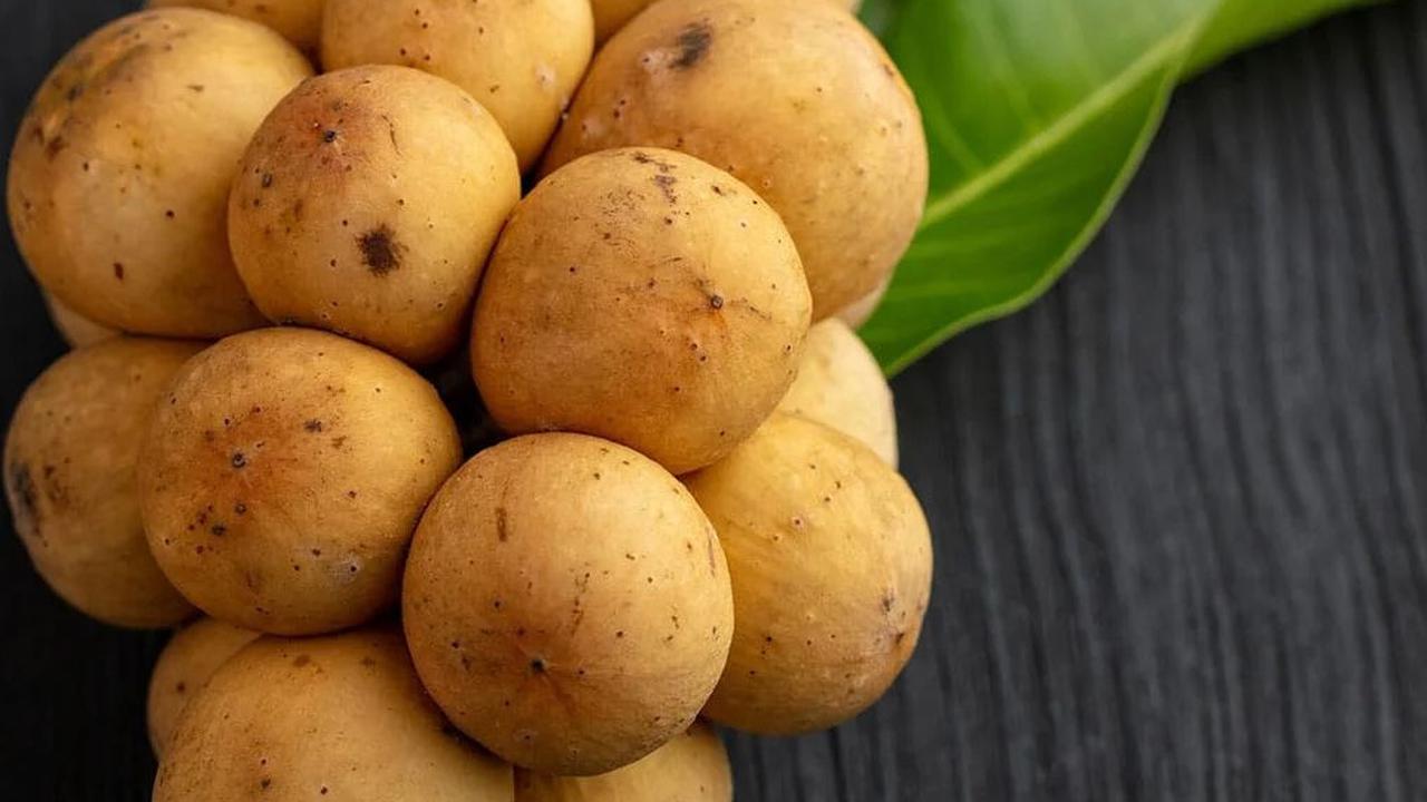 <b>Efek Samping Buah Duku</b>