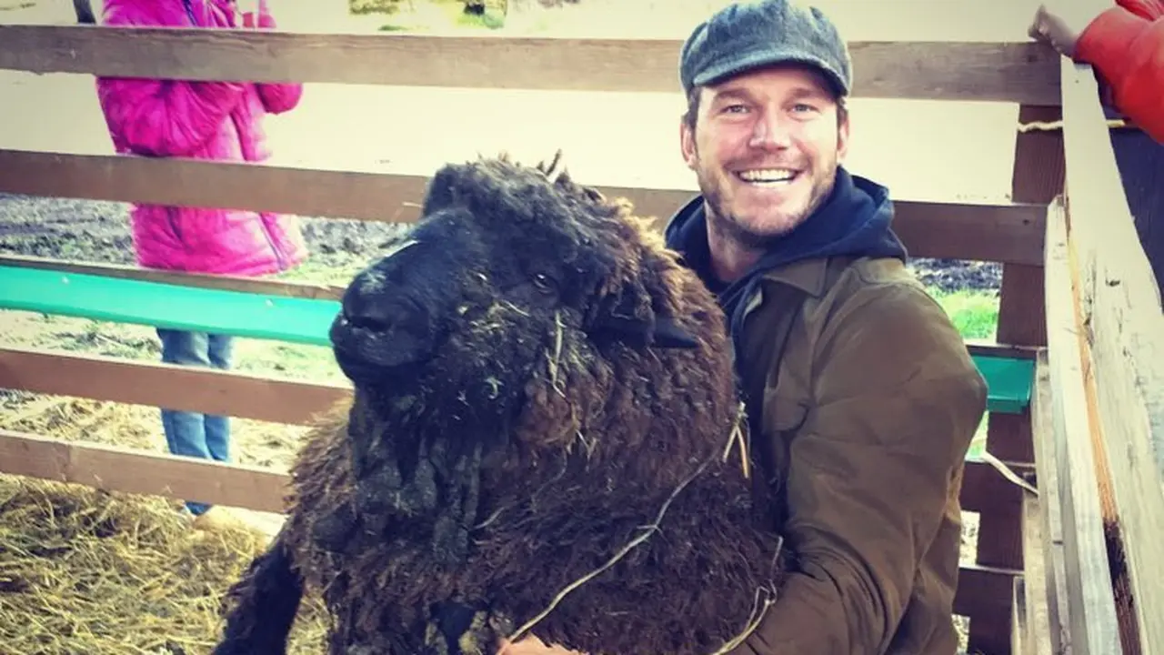 Peternakan Chris Pratt (Instagram/ prattprattpratt)