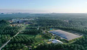 Emiten BWPT Buka Suara Terkait Masalah Investasi Felda
