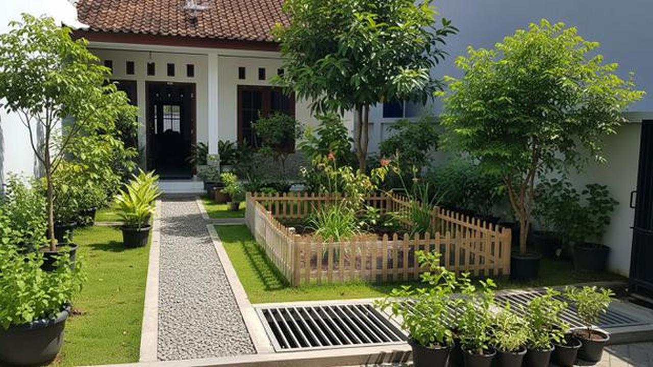 10 Penataan Pekarangan yang Mengurangi Risiko Tikus Masuk di Sekitar Rumah