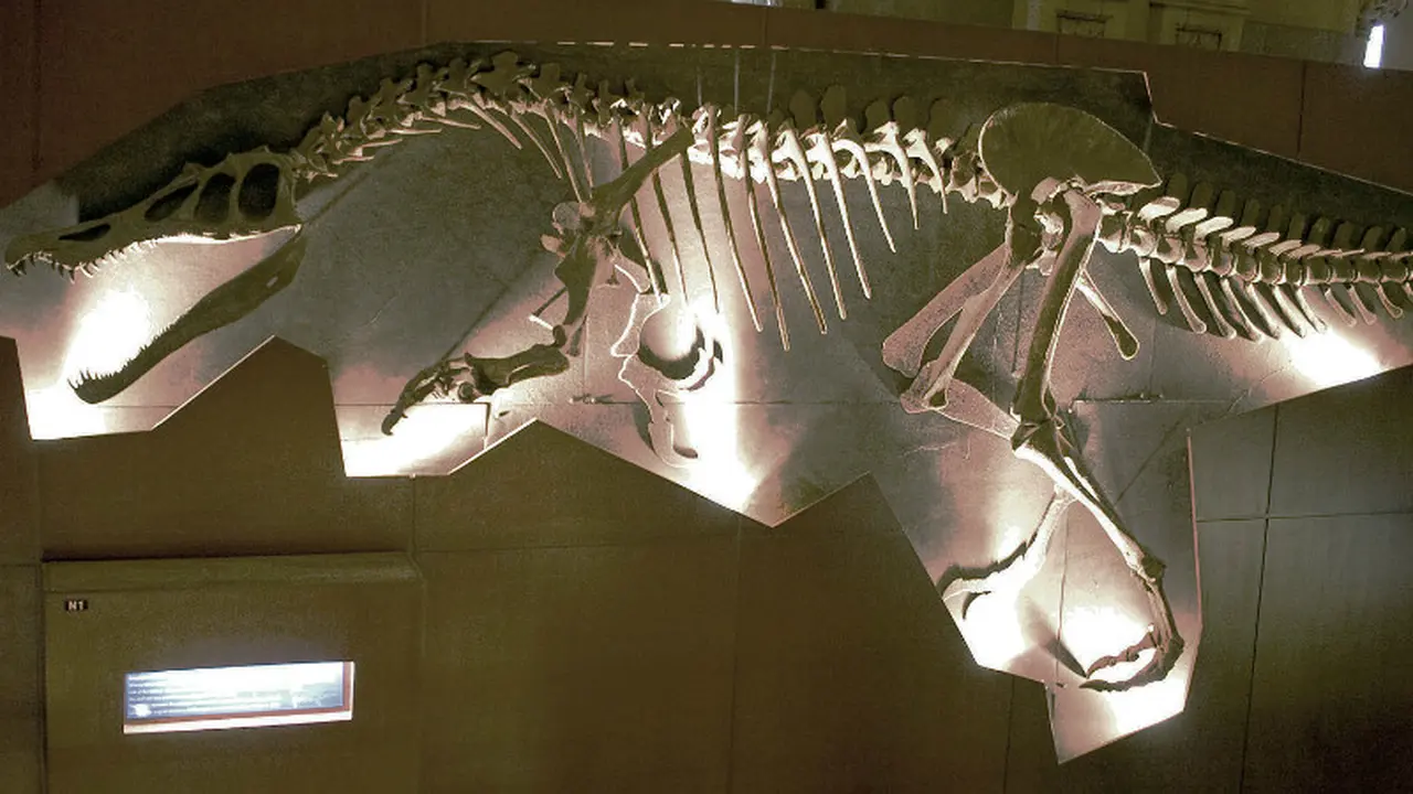 Kerangka Dinosaurus Baryonyx