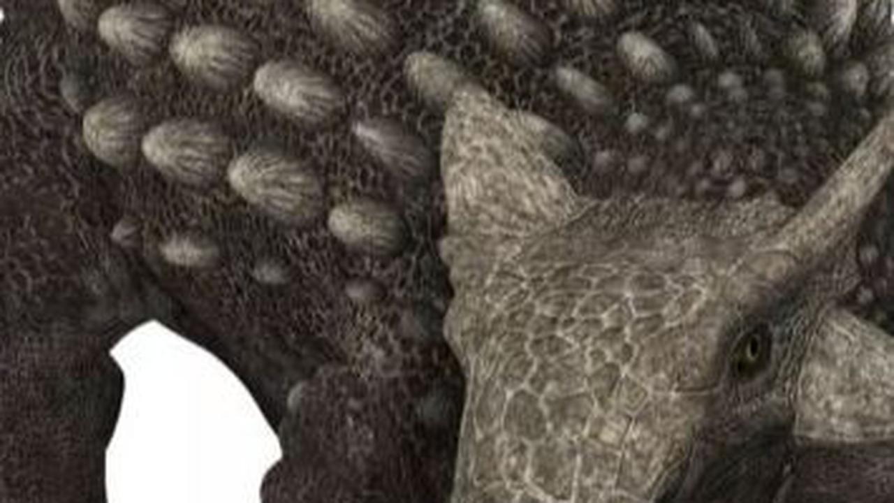 Jalan-Jalan di Pantai, Pria Ini Temukan Jejak Kaki Dinosaurus Berusia 100 Juta Tahun, Jarinya Terlihat Jelas
