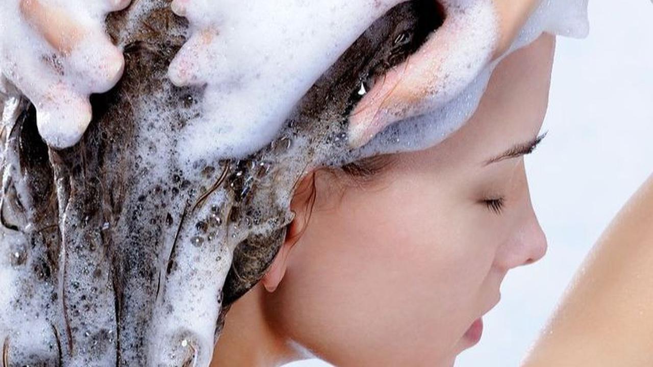 Pilihan Sampo untuk Rambut Tipis