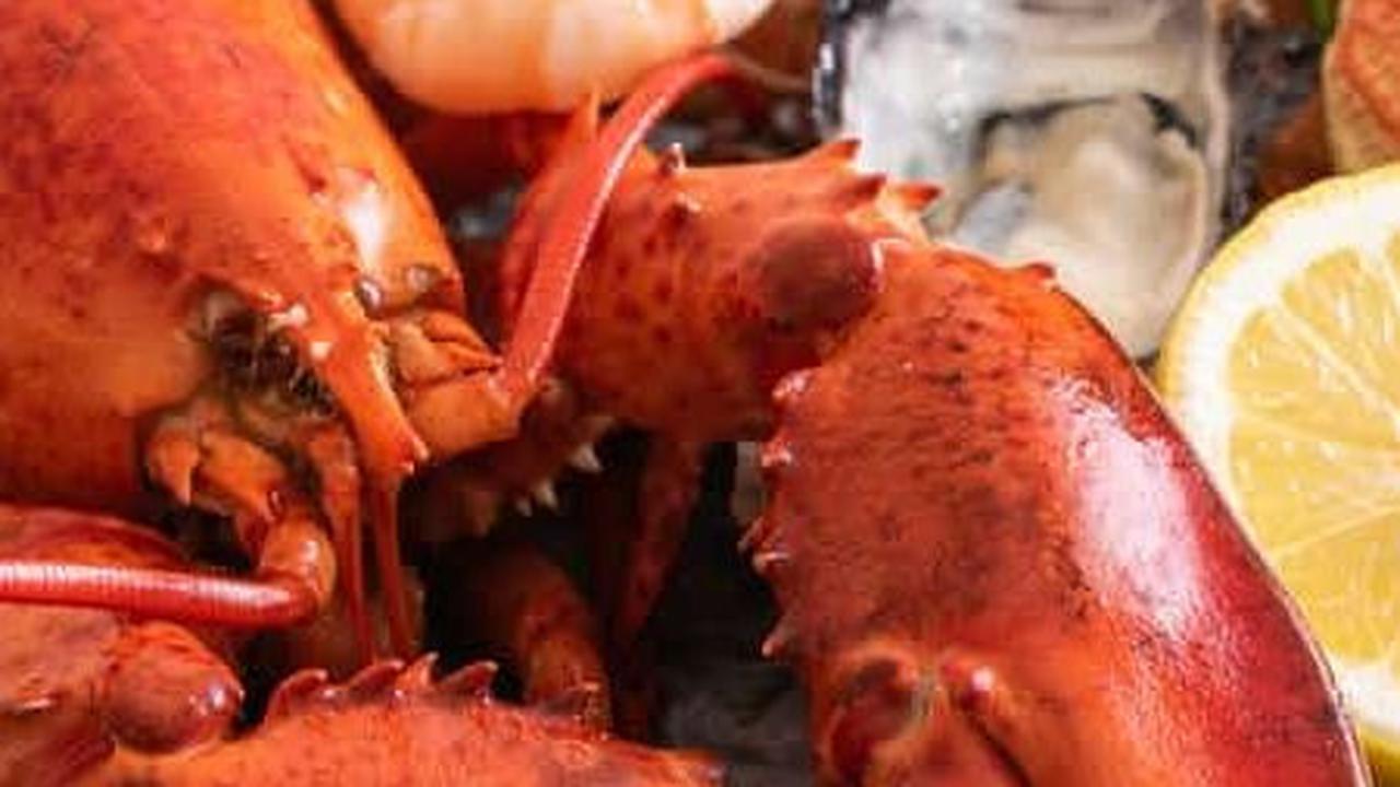 4. Astaxanthin dalam Lobster<br>
