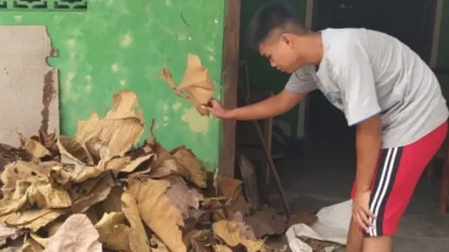 Agar Tetap Bisa Sekolah, Kisah Bocah Jual Daun Kering Rp 400 Per Kilogram Ini Bikin Terharu
