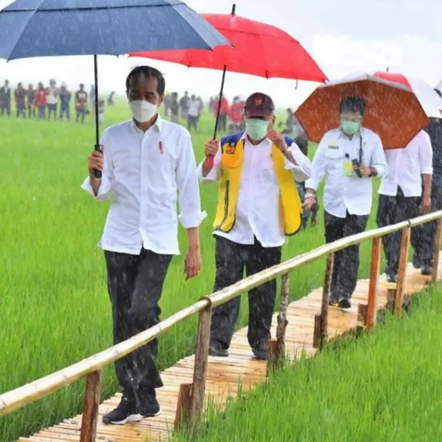 Presiden Joko Widodo bersama rombongan, meninjau lumbung pangan (Food Estate) di Desa Makata Keri, Kecamatan Katiku Tana, Kabupaten Sumba Tengah, NTT. (Foto Istimewah)
