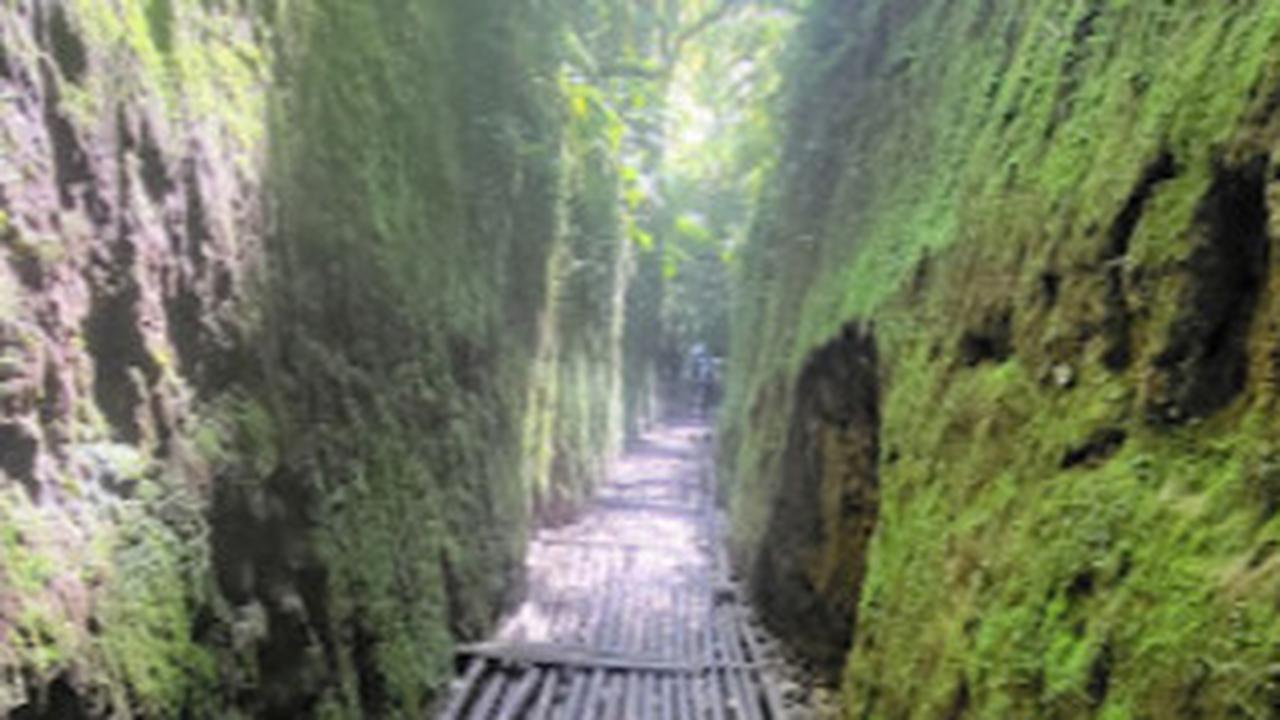 Asyiknya Menjelajahi Lorong Lumut di Lembang, Syahdu saat Hujan