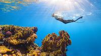 Ilustrasi liburan, traveling, snorkeling. (Photo by NEOM on Unsplash)