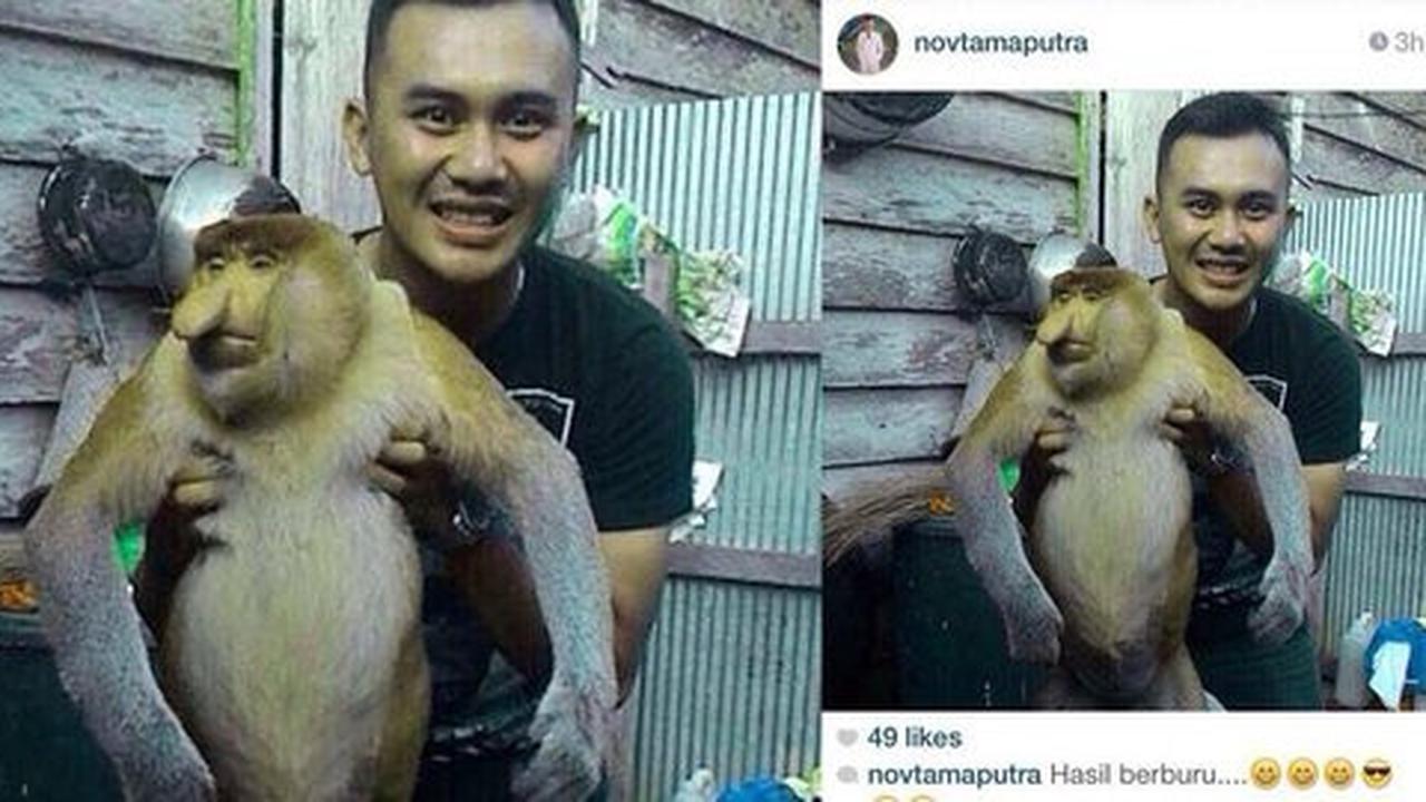 Jadikan Bekantan sebagai buruan, Novtama harus dihukum