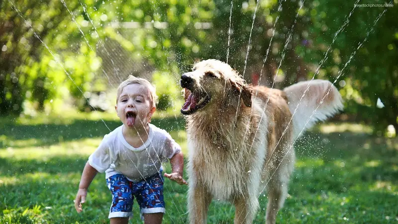 4 Alasan Anjing adalah Peliharaan yang Baik