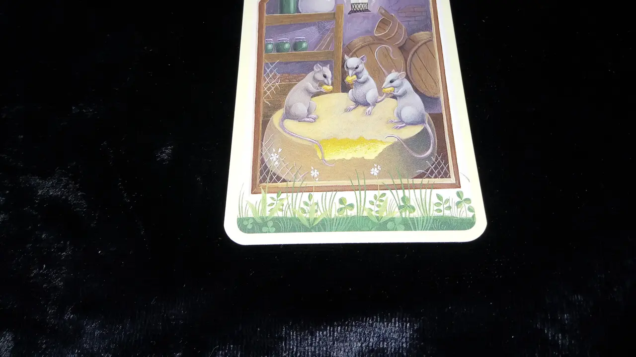 Tarot hari ini, jumat 29 juni 2018