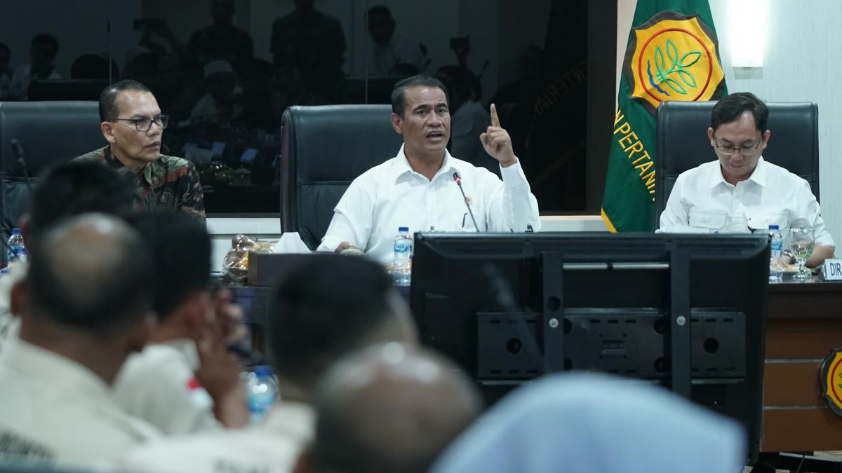 Mentan Amran Larang Impor Singkong Mulai Hari Ini