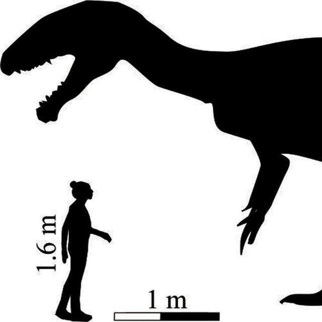 Ilmuwan Temukan Jejak Kaki Nenek Moyang T Rex Di Afrika Citizen6