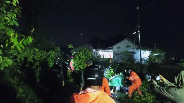 Ratusan rumah terdampak genangan air dan puluhan pohon tumbang akibat hujan deras dan angin kencang yang melanda Kota Metro, Lampung.