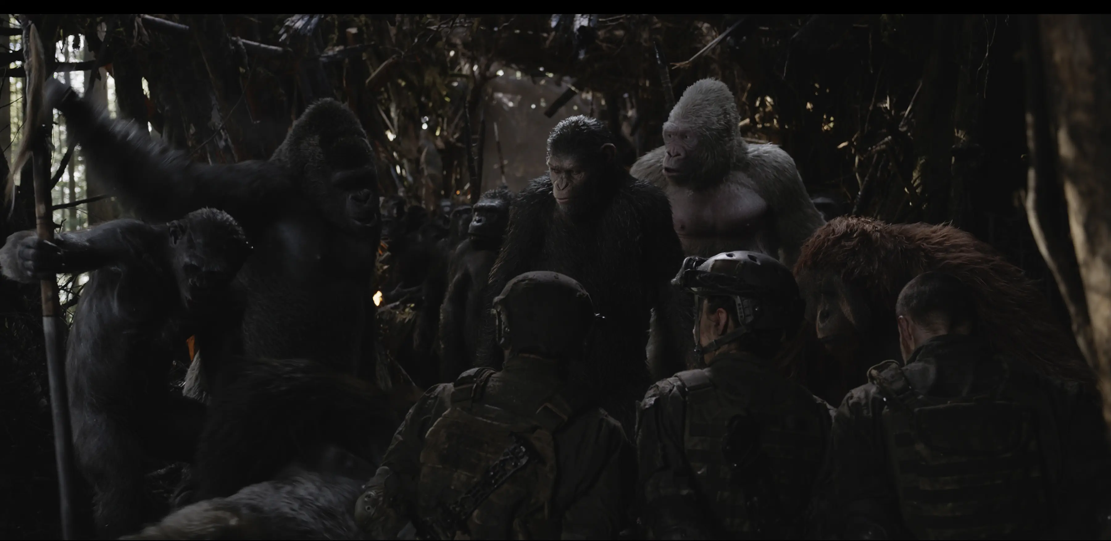 War for the Planet of the Apes. (20th Century Fox)