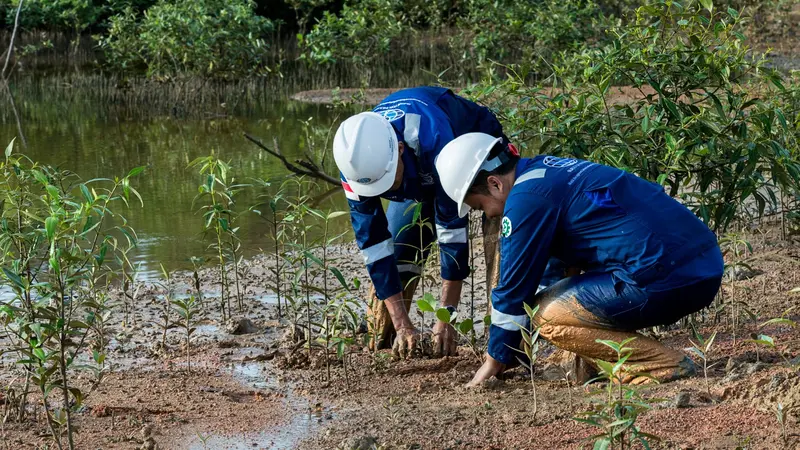 Surveyor Indonesia telah memberikan layanan ESG ke banyak Badan Usaha Milik Negara (BUMN) dan Swasta dari berbagai sektor industri