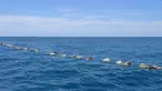 Bangkai penyu laut yang mati di parairan dekat Puerto Escondido, Meksiko, (28/8). Kantor perlindungan lingkungan mengatakan sekitar 300 penyu laut telah mati terjebak di dalam jaring ikan ilegal yang terlantar. (AP Photo/Jose Ignacio Santiago Martinez)