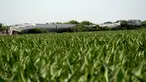 Kereta Amtrak yang tergelincir setelah menabrak truk sampah terlihat di luar ladang jagung dekat Mendon, Missouri, Amerika Serikat (27/6/2022). Kepala Southwest mengatakan kereta dari Los Angeles ke Chicago ini bertabrakan dengan truk sampah, kata juru bicara Amtrak Kimberly Woods. (AP Photo/Charlie Riedel)