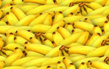 6 Fakta Buah Pisang yang Jarang Diketahui, Termasuk Buah Tertua di Dunia