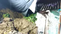 Tembok Penahan Tanah di Bogor Longsor, Wanita Paruh Baya Tewas Tertimbun