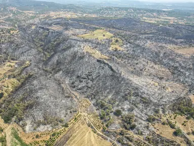 Foto udara menunjukkan kerusakan usai kebakaran hutan di dekat kota pesisir Mediterania Manavgat, Antalya, Turki, Jumat (30/7/2021). Korban tewas dalam kebakaran hutan tersebut menjadi empat orang saat kebakaran terjadi. (AP Photo)