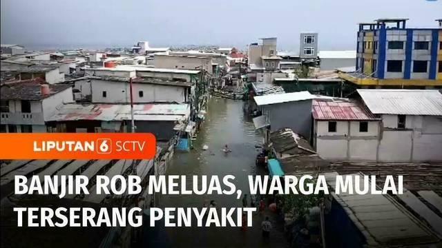 Banjir rob atau pasang air laut masih belum juga surut dari kawasan permukiman warga di Muara Angke, Jakarta Utara. Bahkan banjir rob yang meninggi mencapai 80 cm.