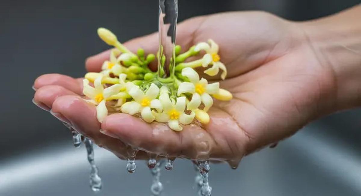 Cara Memasak Bunga Pepaya agar Enak, Jadikan Tumis dengan Bumbu Sederhana