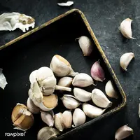 ilustrasi bawang putih/copyright Rawpixel